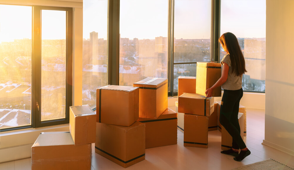 Professional Movers Wesley Chapel