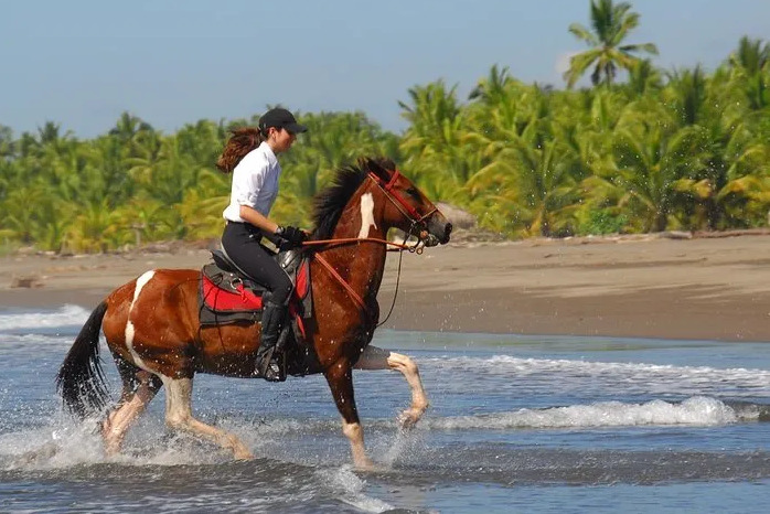 Costa Rica Horseback Riding Vacation