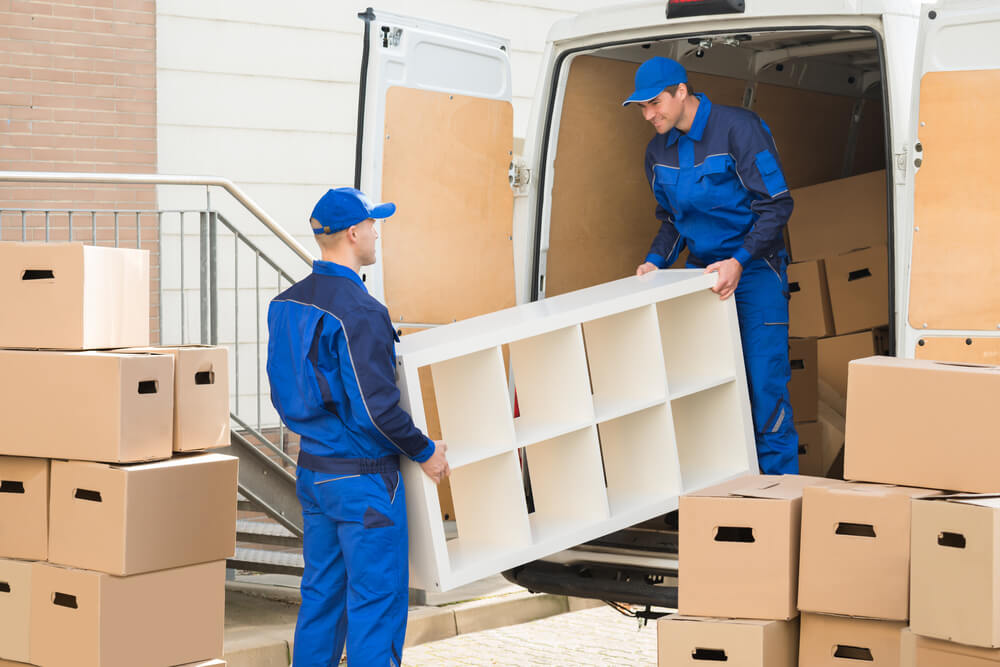 Best Movers in Lithia