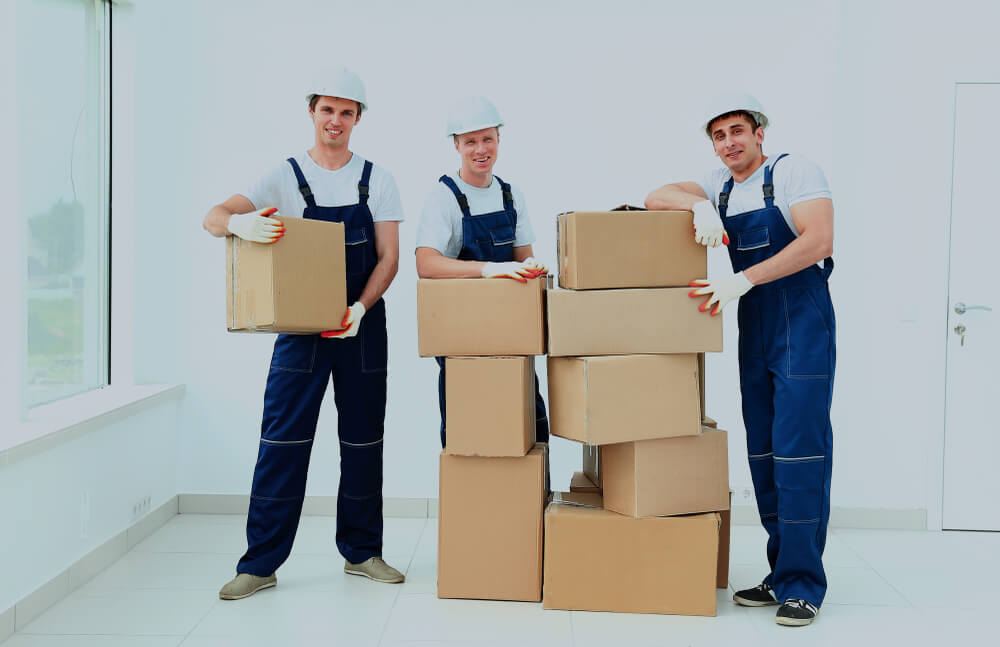 Residential Movers Lithia