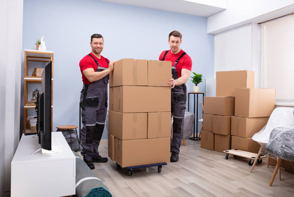 Long Distance Moving Services Zephyrhills