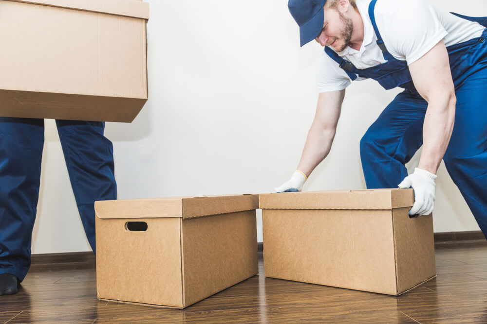 Office Relocation Service Doctors Inlet